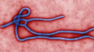 The virus Ebola